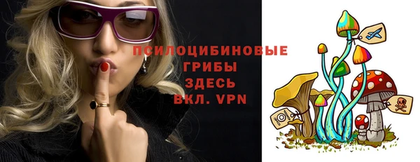 прущие крисы Белоозёрский