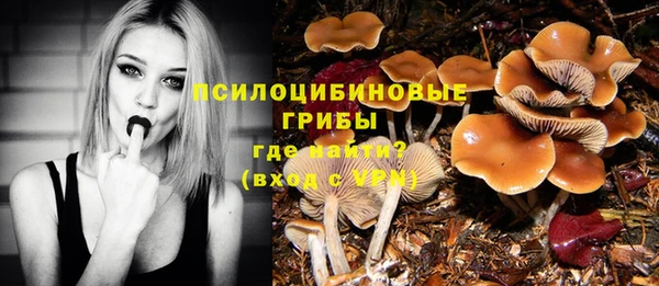 прущие крисы Белоозёрский