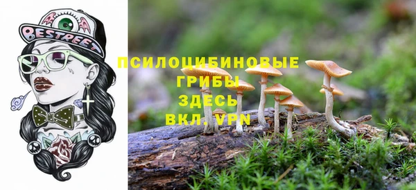 прущие крисы Белоозёрский