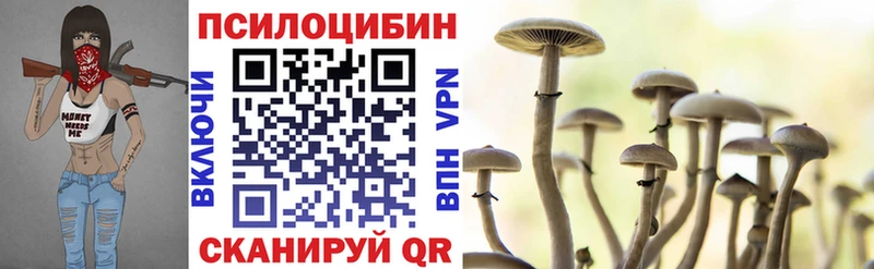 Псилоцибиновые грибы GOLDEN TEACHER  Городовиковск 
